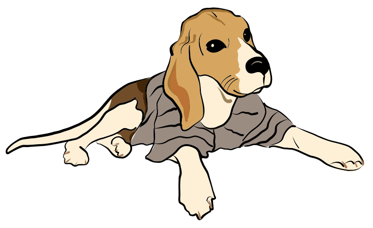 Lilly the dog